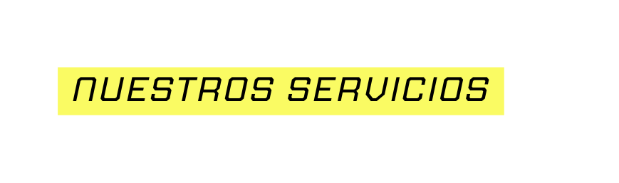 NUESTROS SERVICIOS